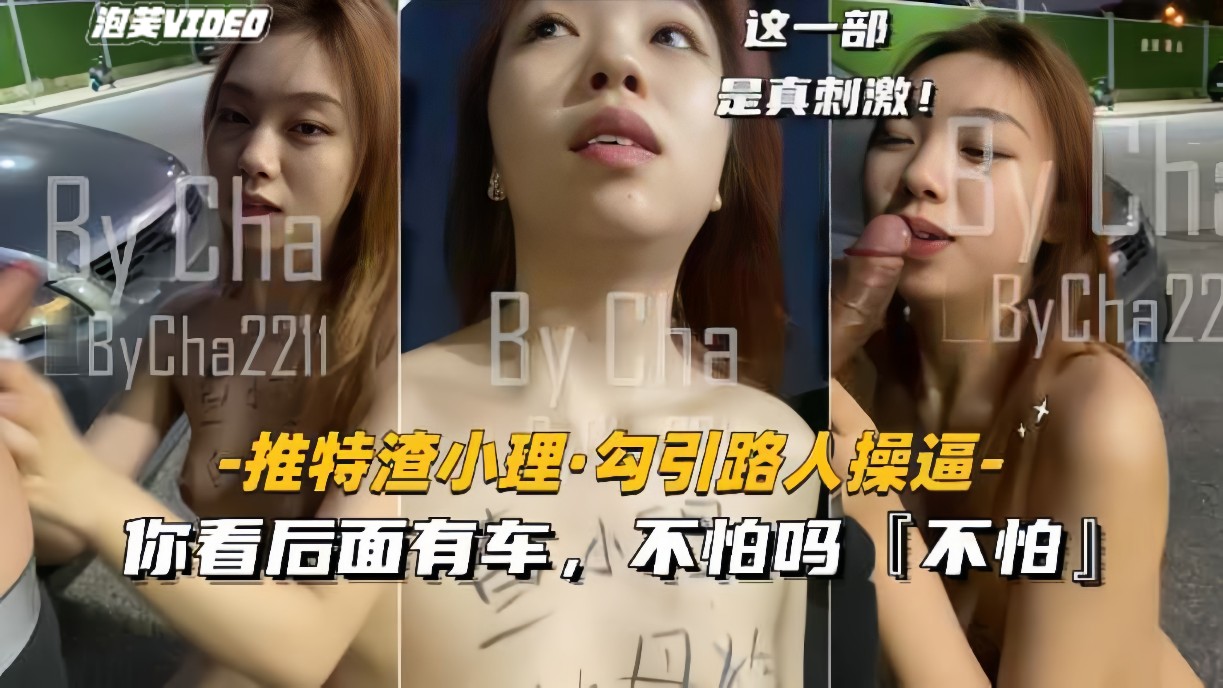 推特渣小理_勾引路人野战你看后面有车不怕吗不怕vlog出品