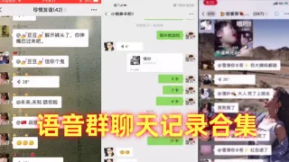 语音群聊天记录合集