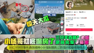 【惊天大瓜】小杨哥彻底塌房了！三只羊吞精齐老板录音完整字幕版！附红河学院事件，彝族精神小伙强制猥亵，公路强奸和偷情等精选！