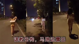 调教母狗，马路边露出