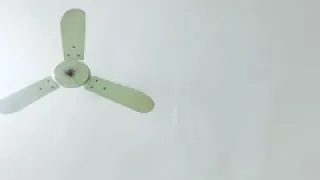 #哭了的小十九 1