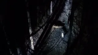反基督者