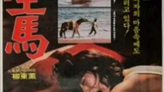 野生馬