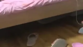 最新自录系列很多人求的哈尔滨高颜值大奶学妹啪啪大秀