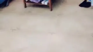 两个小姐妹玩的正嗨的时候来了一位男生开始3P。