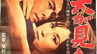 丈夫看见了