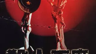黑太阳731续集之杀人工厂LaboratoryoftheDevil1992BD1080P国粤双语中字