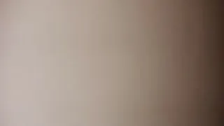 网约韵味十足人妻小少妇。