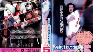 痴漢日記5