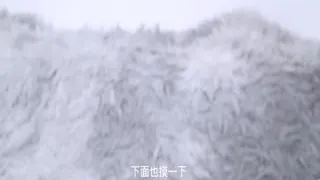 穿着白丝诱惑被就地正法！的。