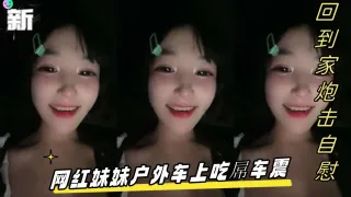 网红妹妹户外车上吃屌车震回到家炮击自慰无毛骚逼假屌猛插翘起屁股炮击后入
