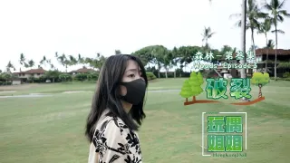 森林系列第叁集-破裂中文字幕