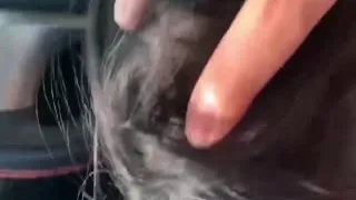 会玩跳跳糖的女友，口活一流，爽的男友嗷嗷叫!。